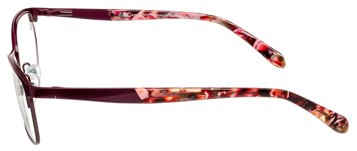 Стильные очки Genex G-733 c.024