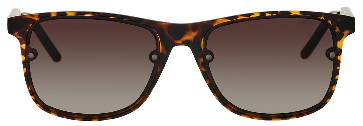 Женские солнцезащитные очки Polaroid 6018 SKF в черепаховой оправе - вид спереди