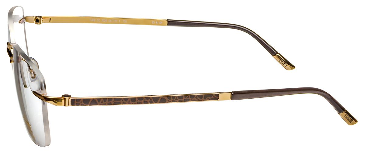 Мужские очки в оправе Silhouette 5480 DC 7520 - Фото сбоку