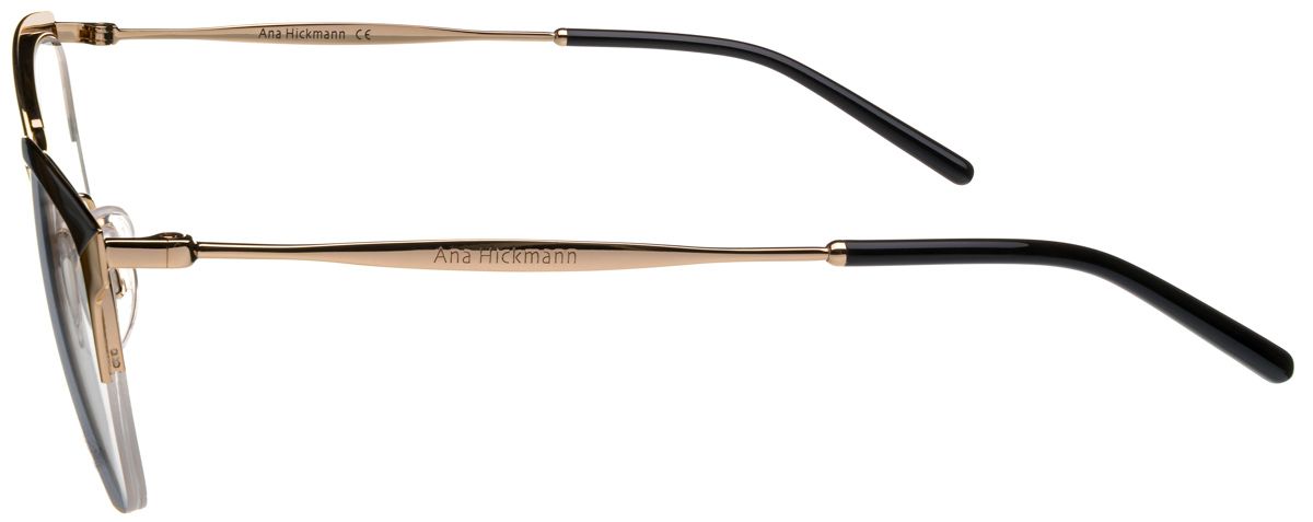 Ana Hickmann 1353 09A