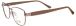 Glory 203 Brown