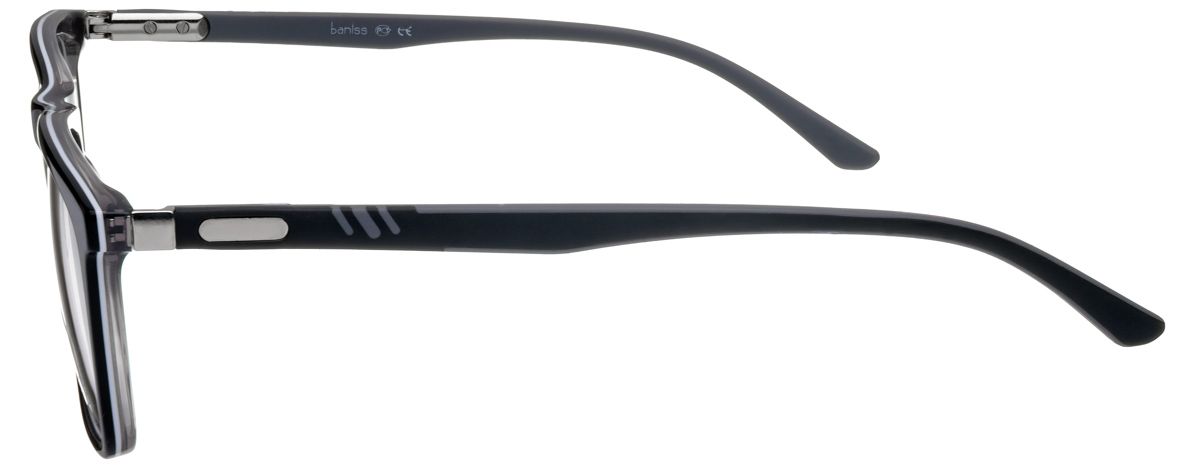 Baniss 8016 1