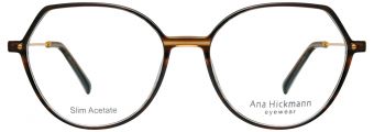 Ana Hickmann 6439 E01