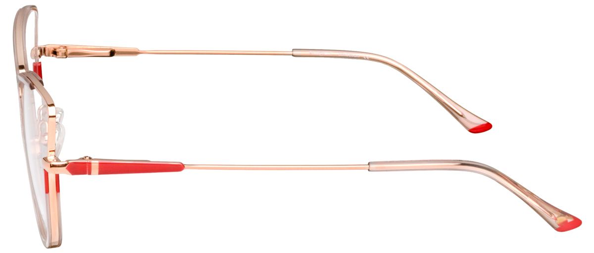 Nicoleta Buchi 820 3