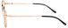 Hickmann 1165 09A