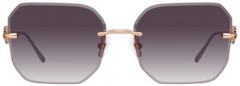 Victoria Beckham 204S 702