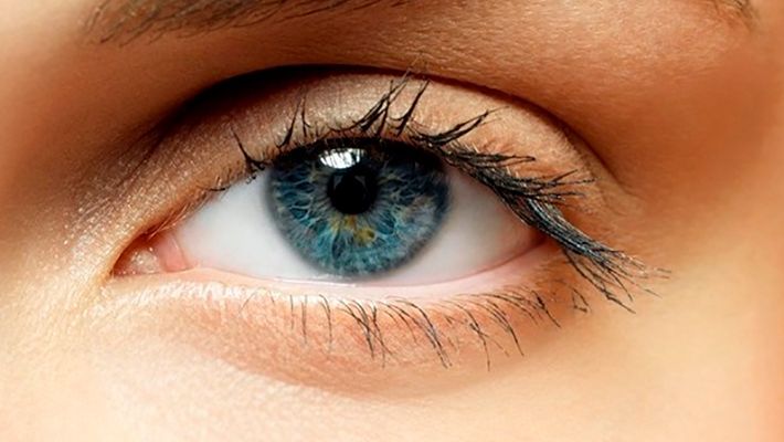 Что придает цвет глазам?